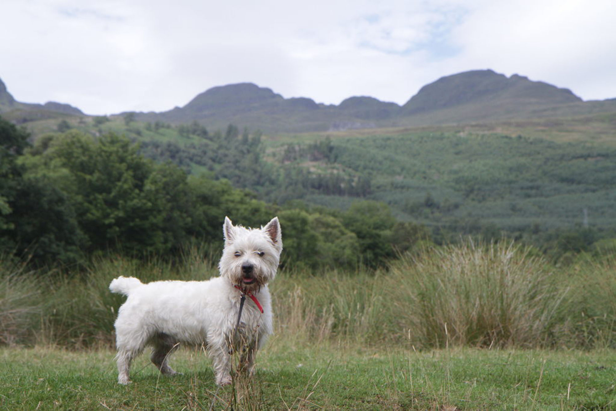 The Tarmachan Ridge is well guarded